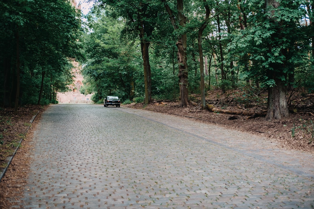 A chart comparing driveway material costs and typical lifespans for gravel, asphalt, and concrete